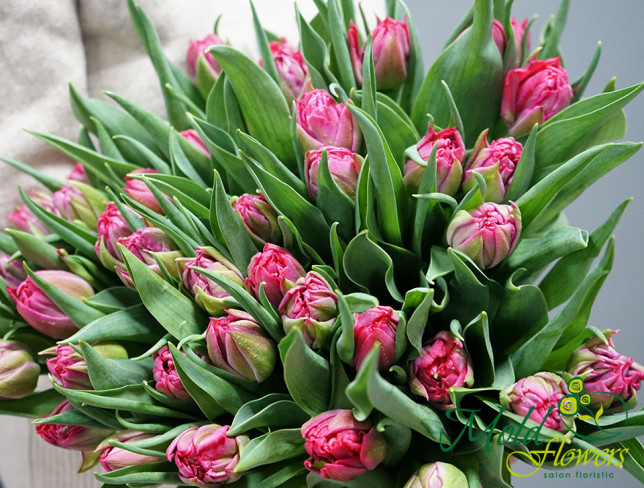 Голландские тюльпаны пионовидные розовые/1 шт Фото